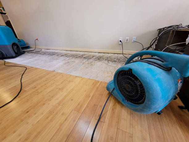 Professional Flood Damage Cleanup technician working in Riverside, NJ